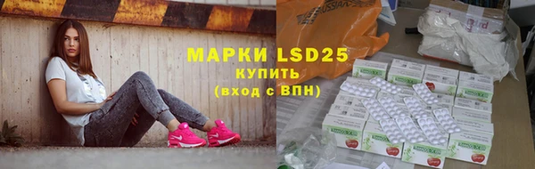 индика Армянск