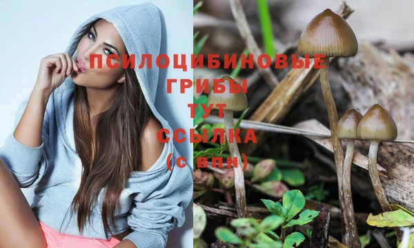 индика Армянск